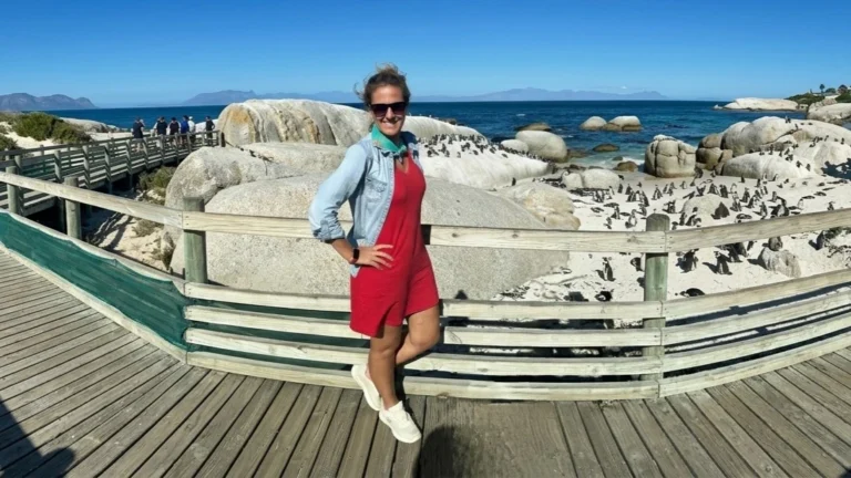 boulders-beach-penguin-colony-cape-town-travel-guide