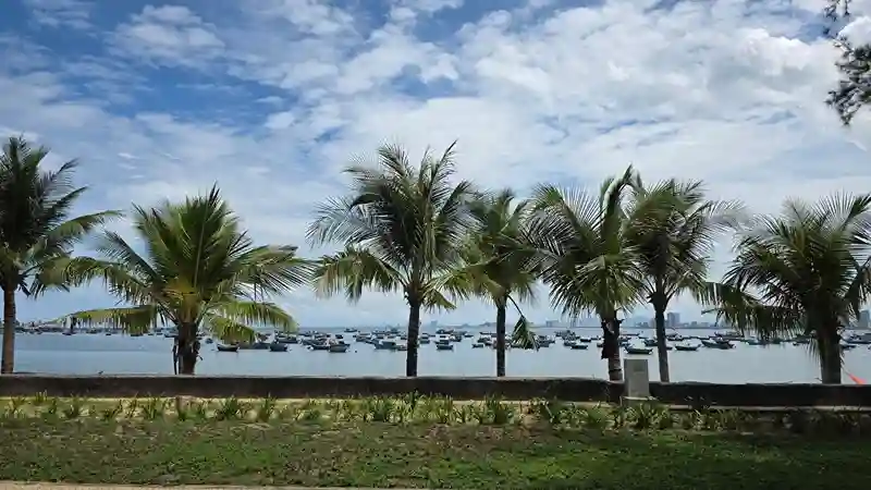 Da Nang coastline with palm trees and fishing boats