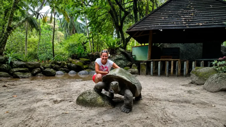Seychelles Travel Guide 2026: Giant Tortoises, Port Launay & Beau Vallon