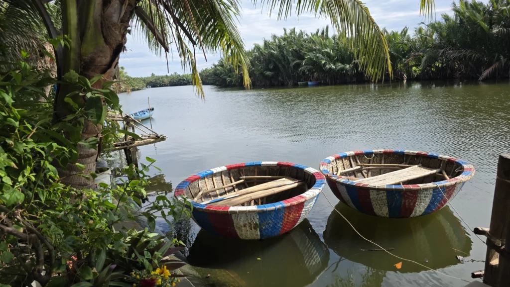 traditional round basket boats moored among coconut palms in Cam Thanh, Hoi An
